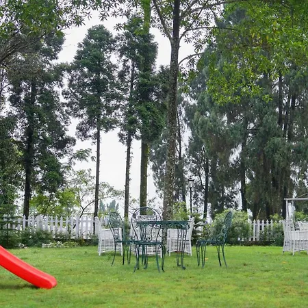 Sourenee Tea Estate-2